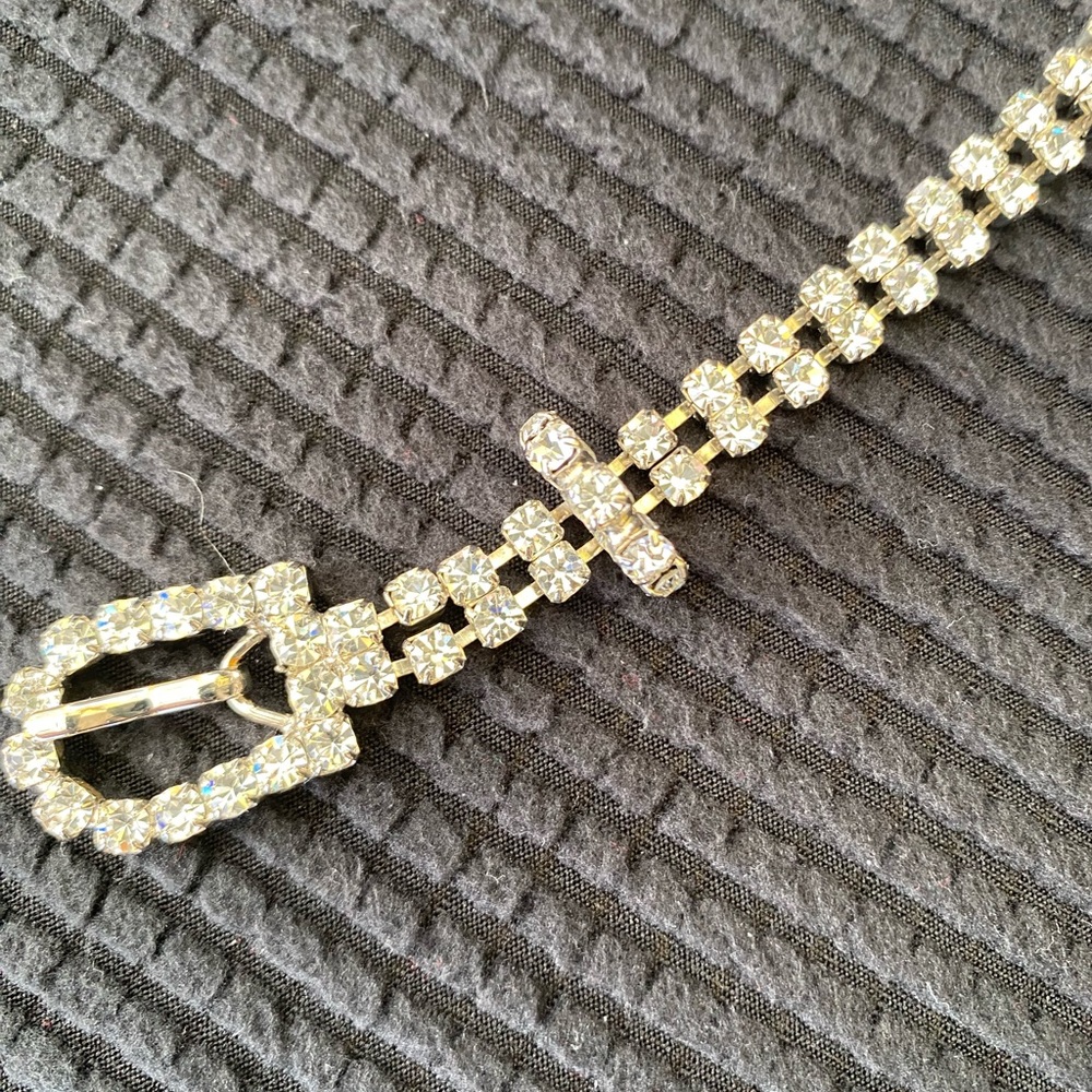 Rhinestone Belt - image 1